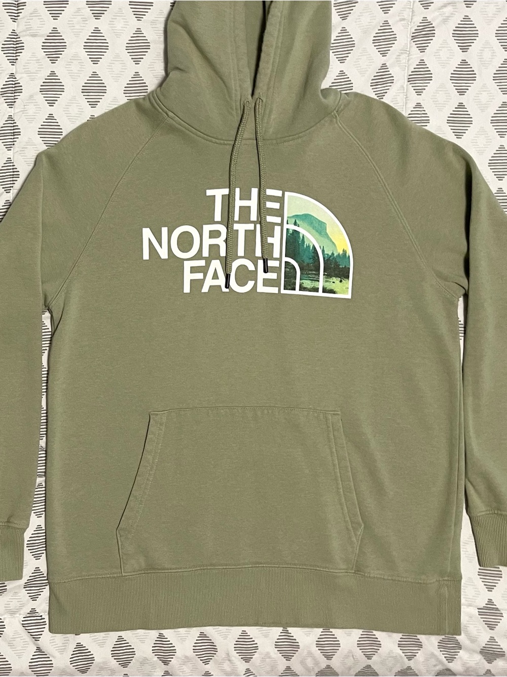 The North Face Half Dome Hoodie - Sage Green Fleece Landscape Logo - Medium
